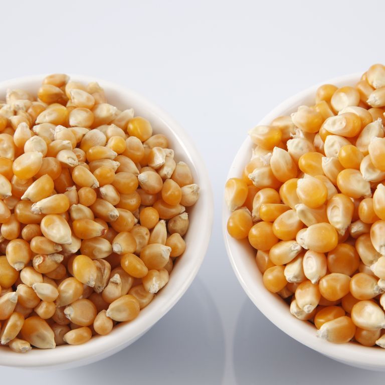 close-up-of-corn-kernels-in-bowls-against-white-royalty-free-image-1146003496-1557167746