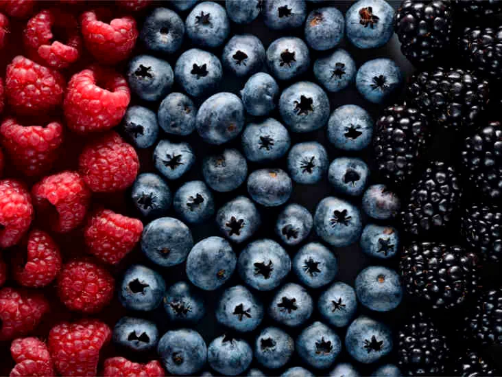 different-berries-birdview-thumb-732x549