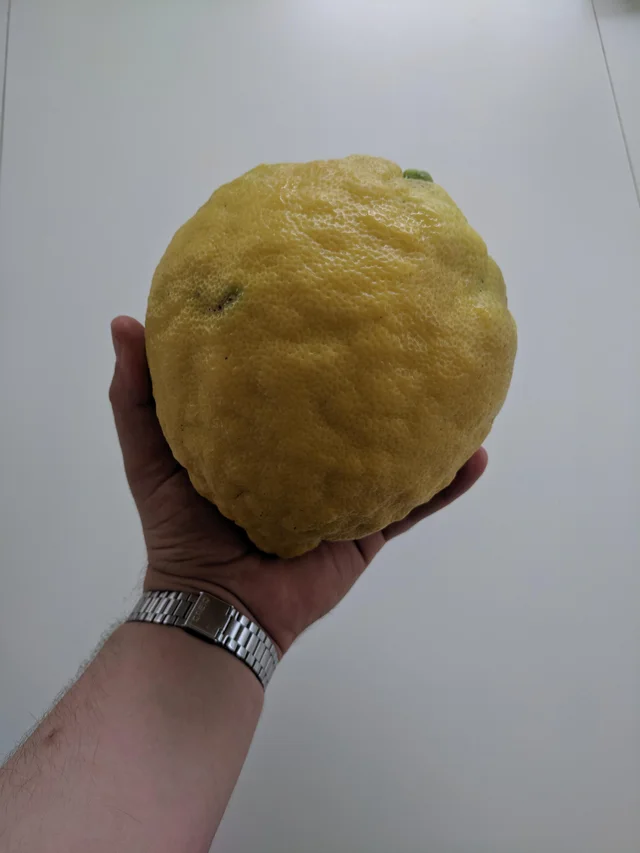 lemon