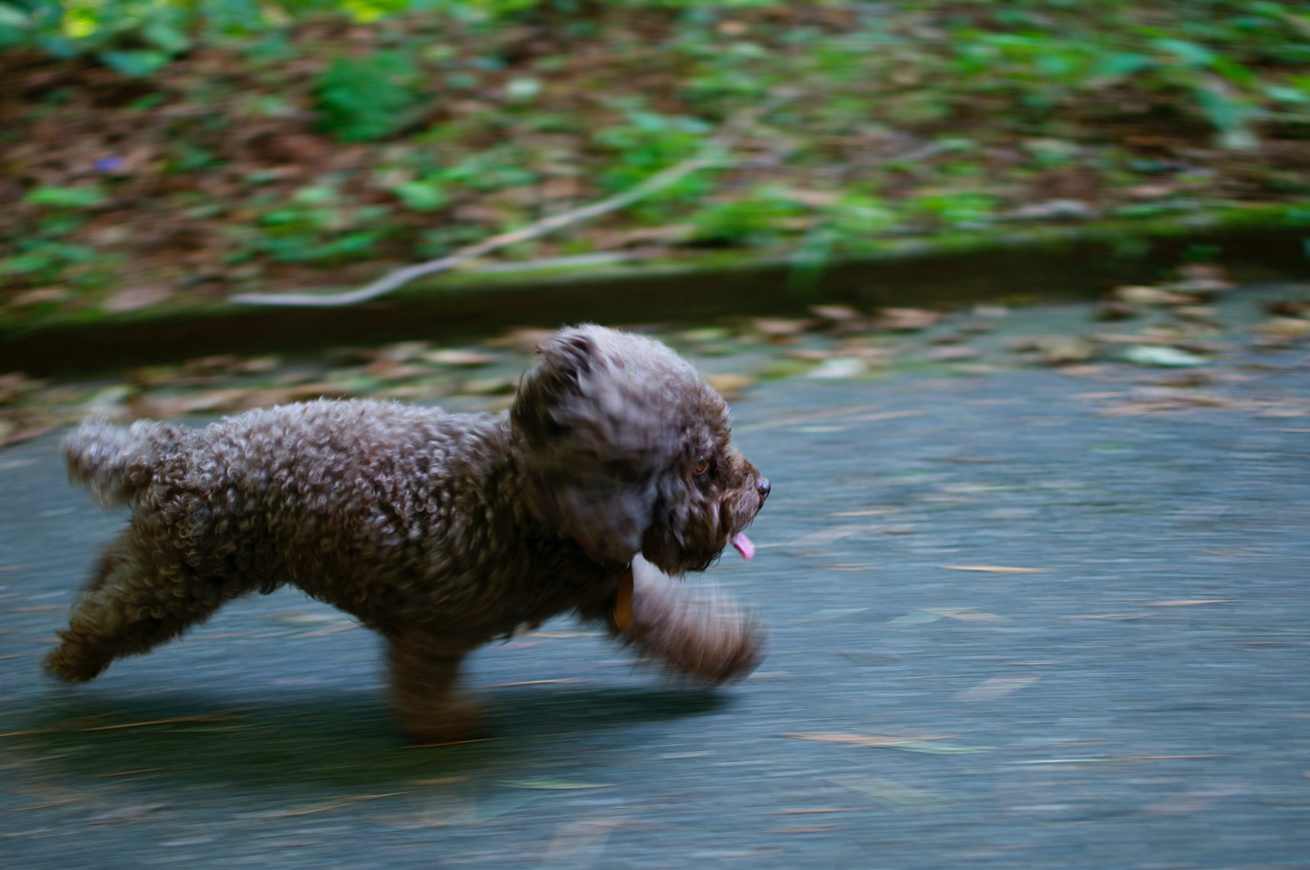 leo-rivas-cpkojocxduy-unsplash