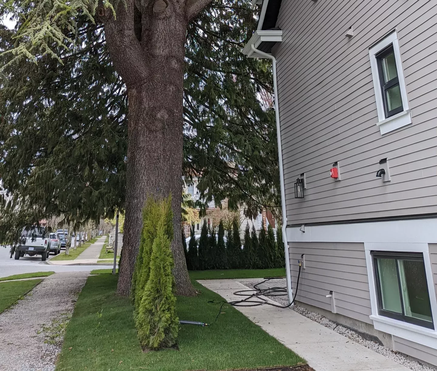 looking-for-opinion-new-house-within-trees-canopy-and-6-v0-ziz6zmveu6ta1