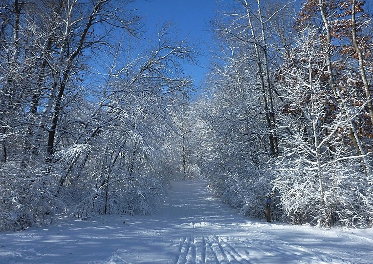 minnesota-2