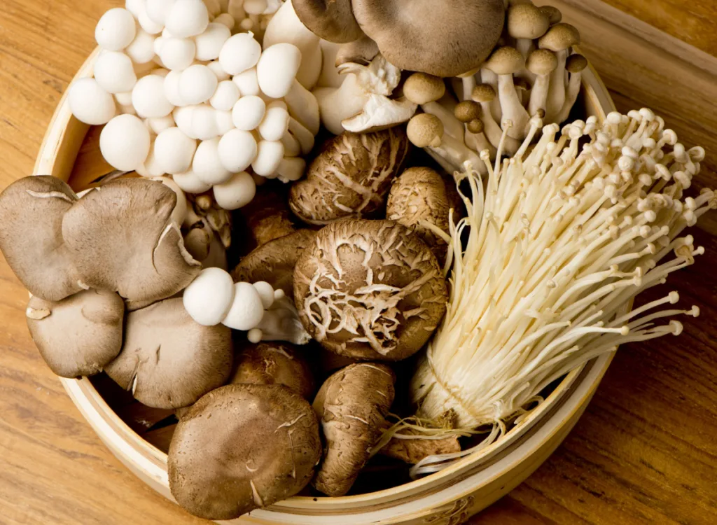 mushroom-assortment