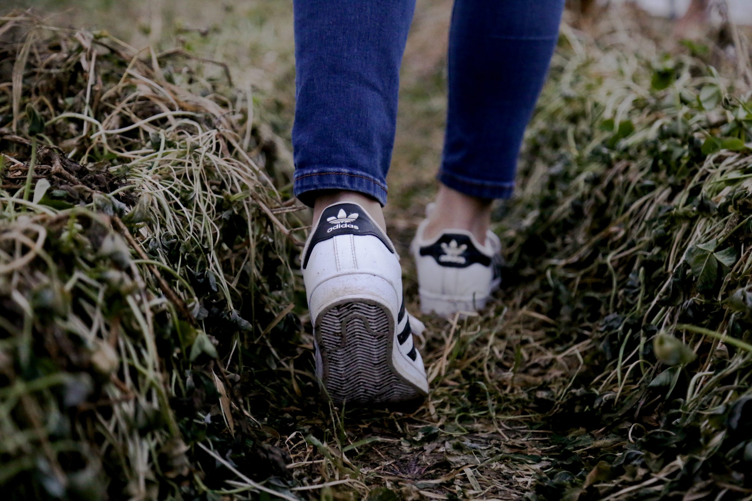 noemi-macavei-katocz-cq59b8chp5o-unsplash