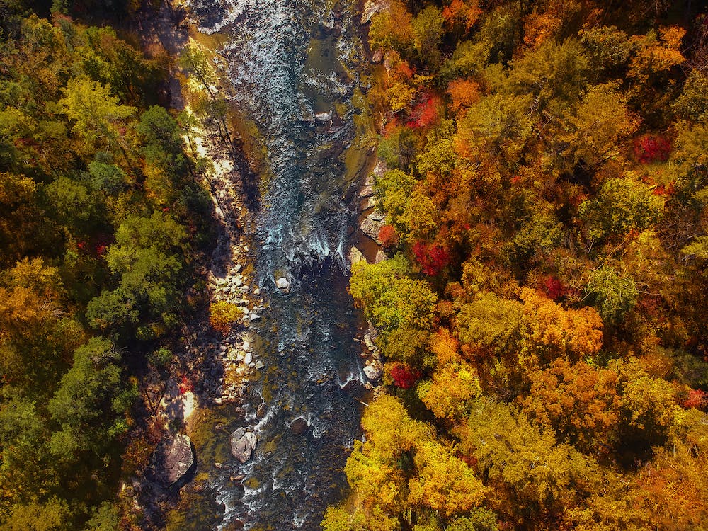north-carolina