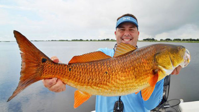 redfish-pick-678x381