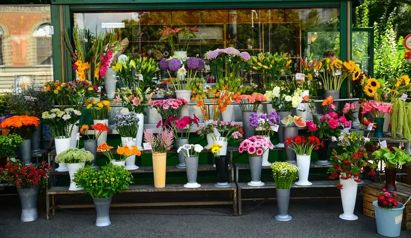 shutterstock_475050499-hollysbirthmarkwasabouttodestroytheweddingandrevealafamilysecret-flowershop-jpg-pro-cmg