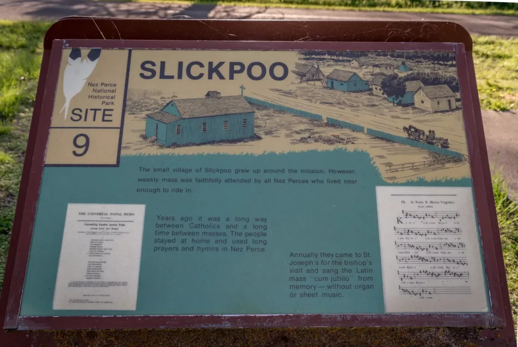 slickpoo