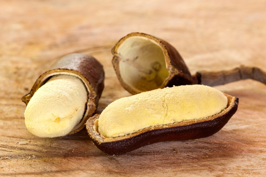 jatoba-do-cerrado-west-indian-locust-fruit-sement-tree-hymenaea-courbaril-on-a-wood-table