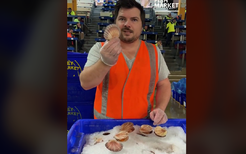 sydneyfishmarket