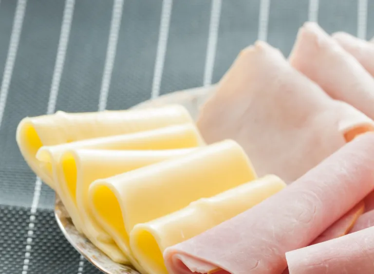 turkey-cheese-slices