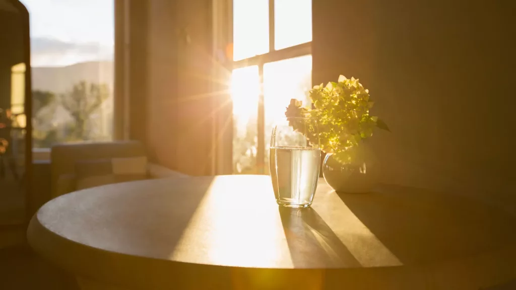 window
