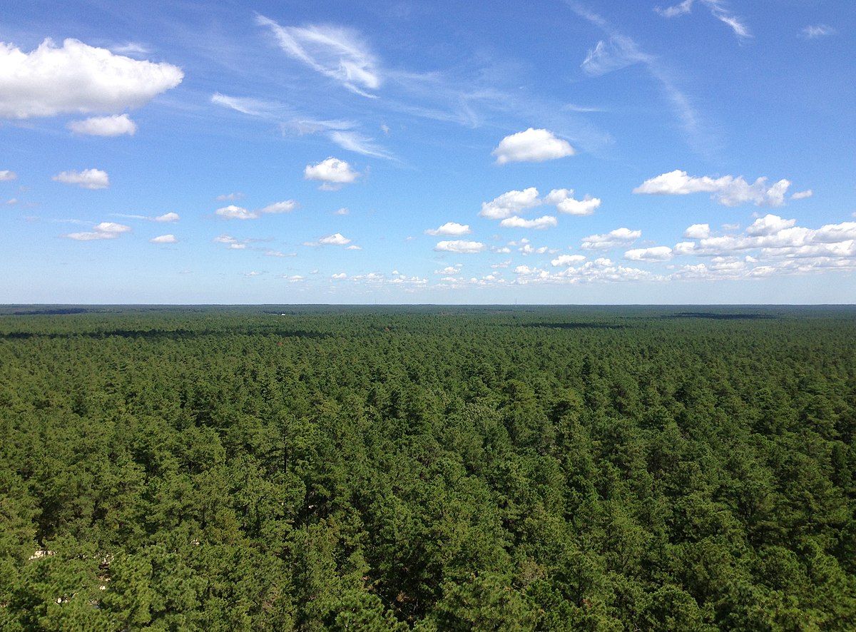 1200px-2014-08-29_11_51_25_view_north-northeast_from_the_fire_tower_on_apple_pie_hill_in_wharton_state_forest_tabernacle_township_new_jersey