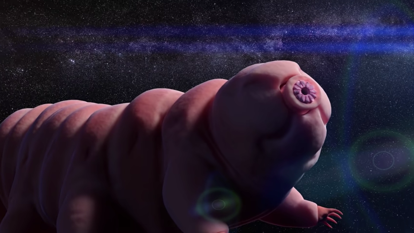 1366-a-unique-creature-on-earth-that-can-live-forever-00-10-12