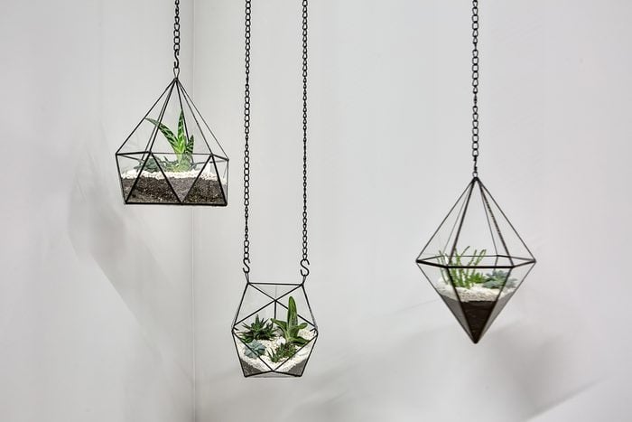 15-things-your-home-decor-reveals-about-your-personality-6