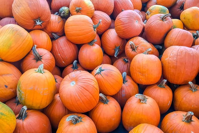 28_pumkin_reasons-to-be-thankful-this-thanksgiving_720717280_umfoto