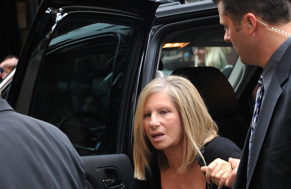 article-image-bodyguard-barbra-streisand-1