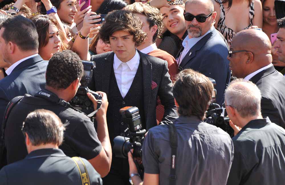 article-image-bodyguard-harry-styles-2