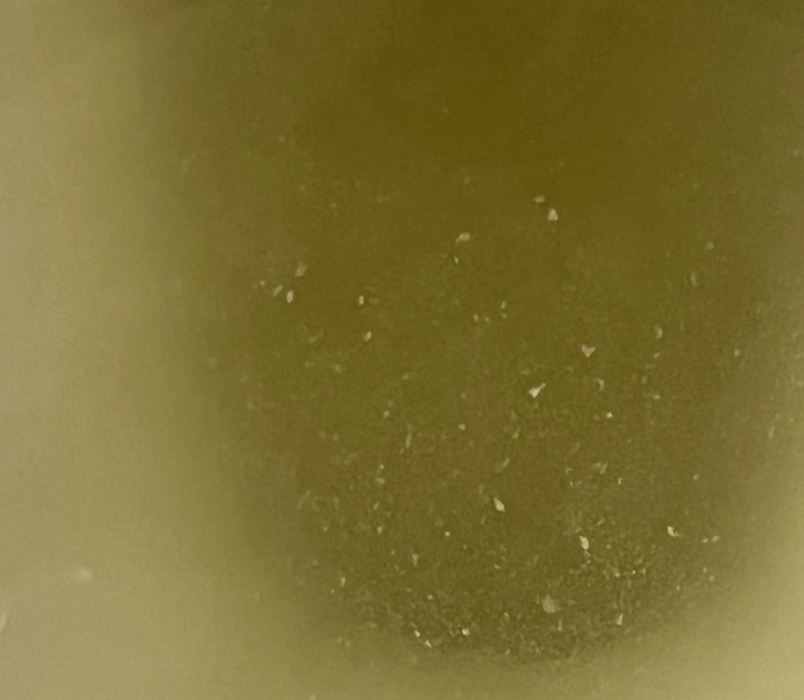 screenshot-2023-09-02-at-18-54-30
