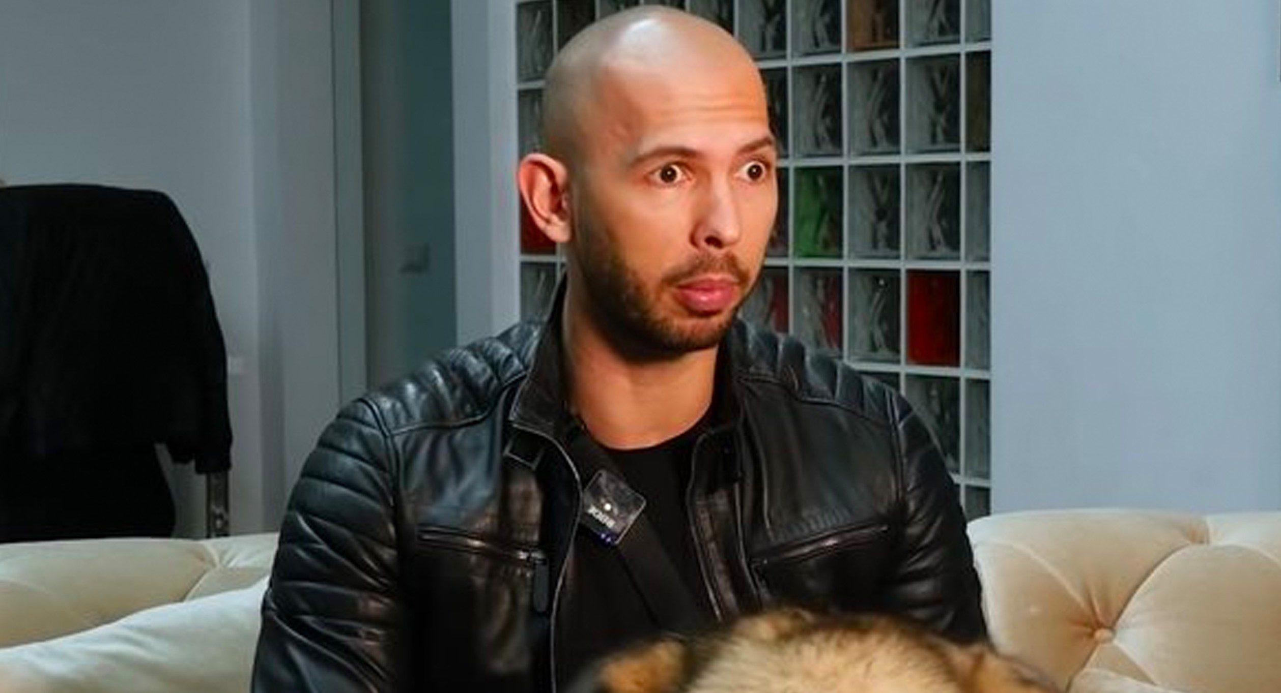 andrewtateshocked