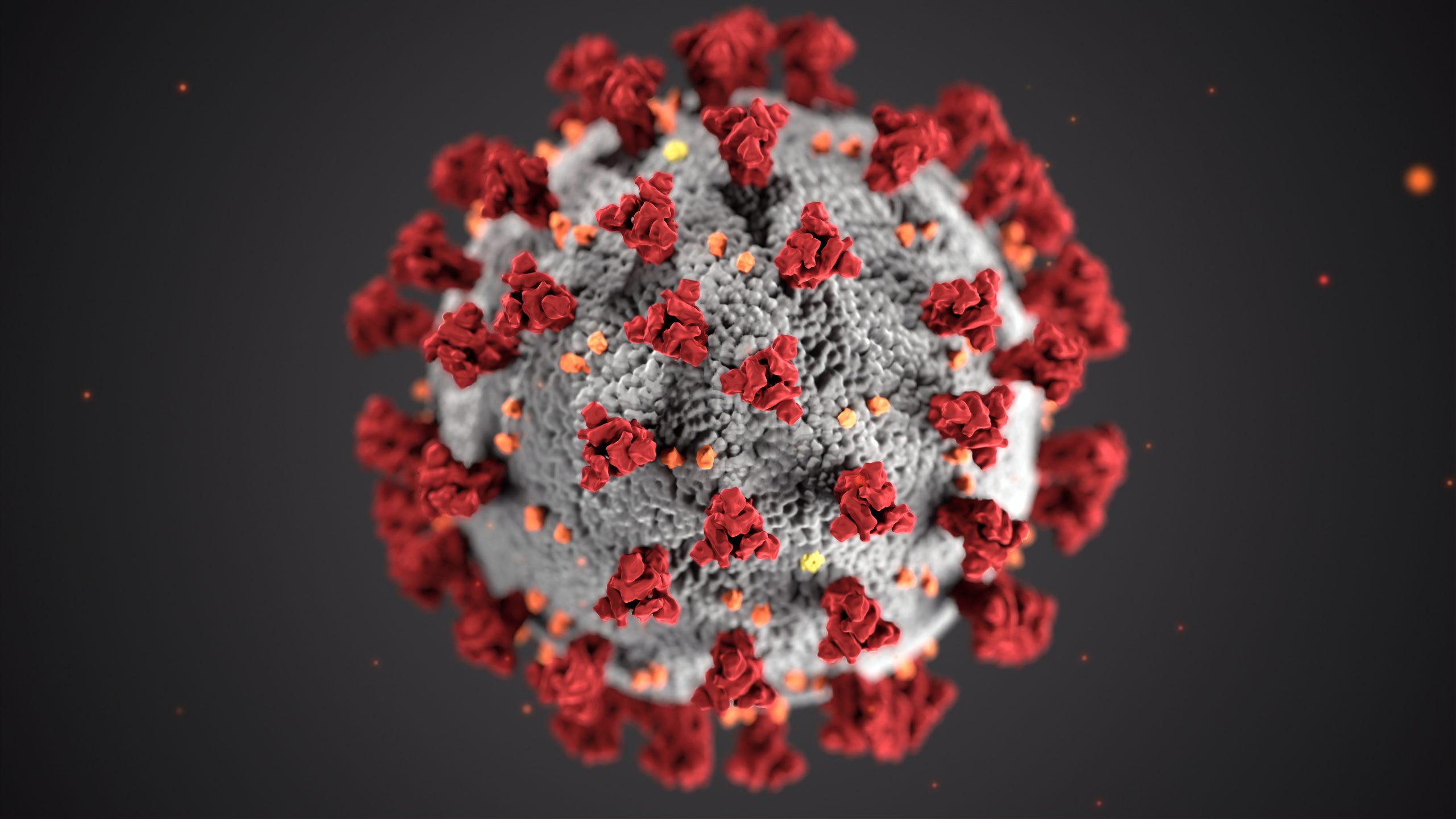 cdc-w9keokhajkw-unsplash