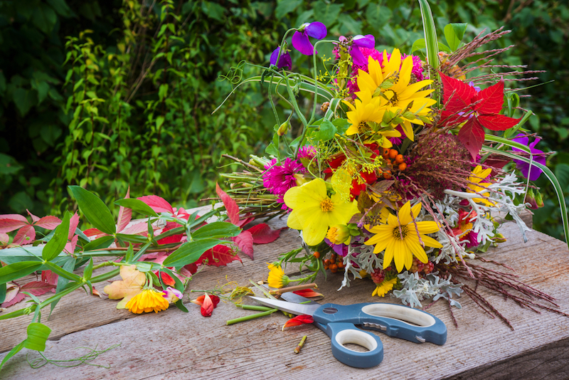 flowers-grown-for-cutting
