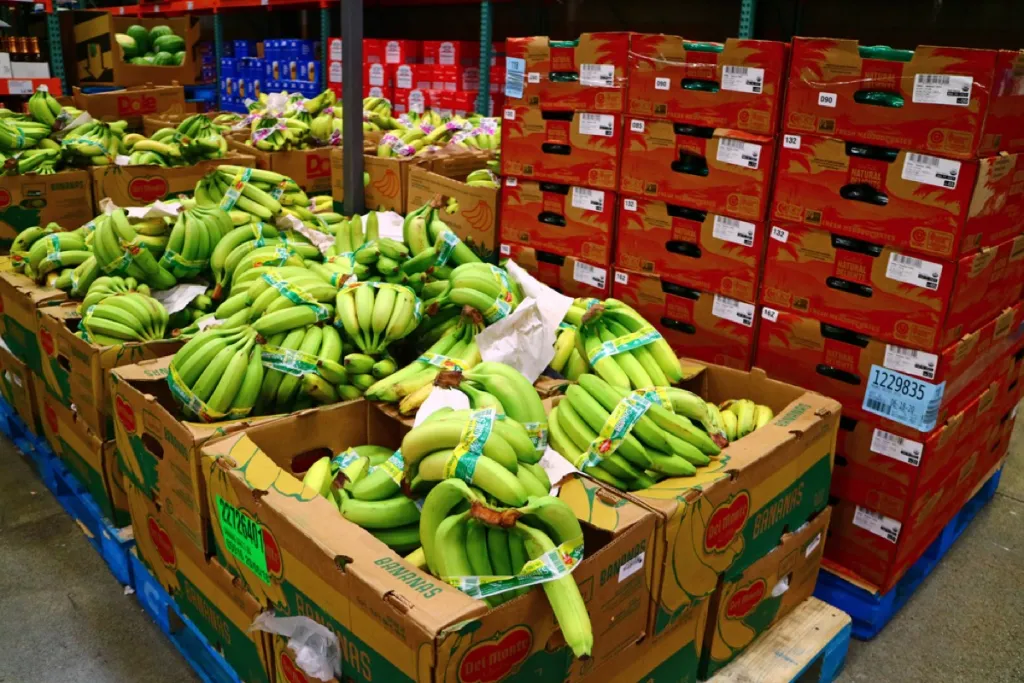 fruit-3