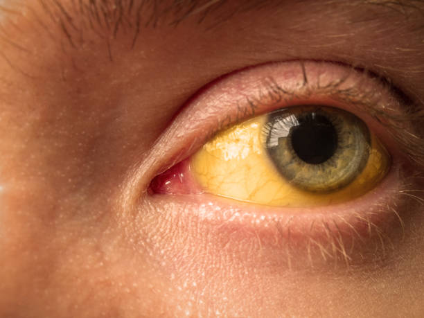 istockphoto-1196559718-612x612