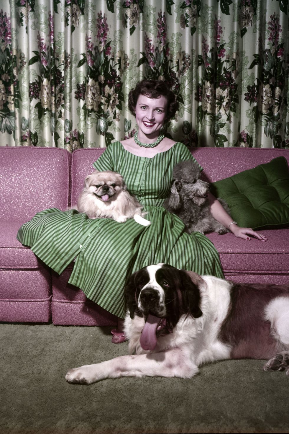 pictured-actress-betty-white-with-dogs-bandy-stormy-danny-news-photo-1578764608