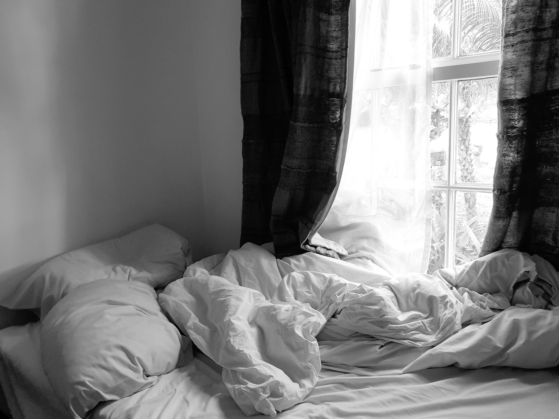 tania-melnyczuk-of56rdvi8ay-unsplash