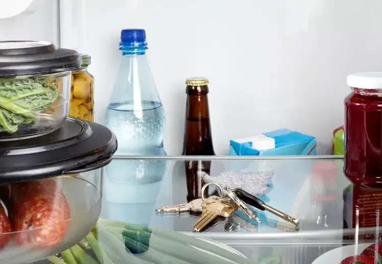 top-fridge