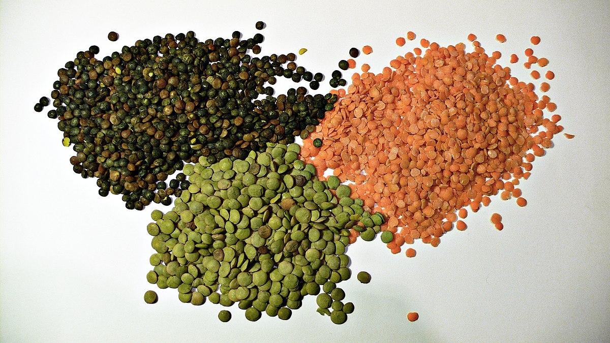 3_types_of_lentil