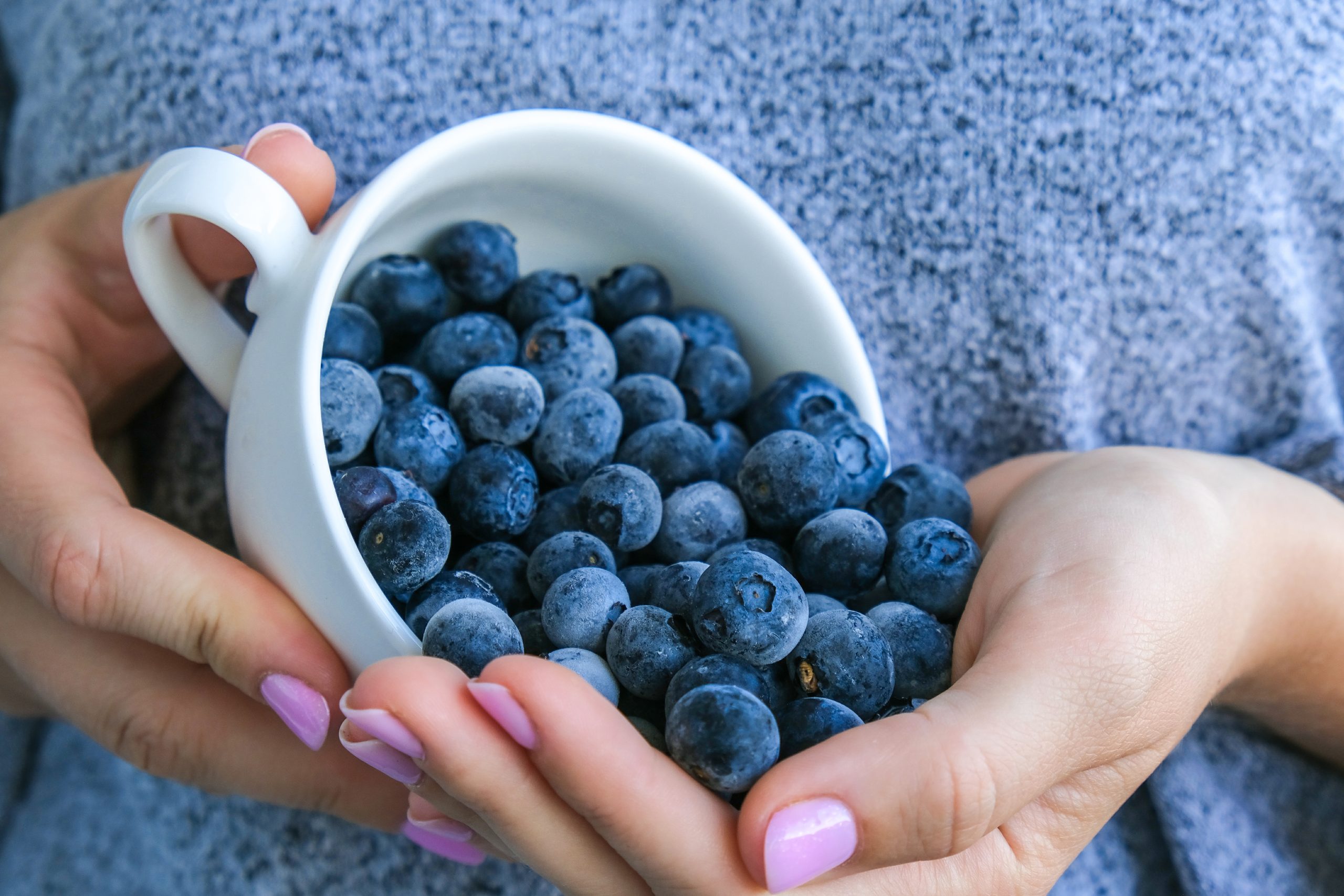 woman-holding-bowl-with-frozen-blueberry-fruits-harvesting-concept-female-hands-collecting-berries-healthy-eating-concept-stocking-up-berries-for-winter-vegetarian-vegan-food