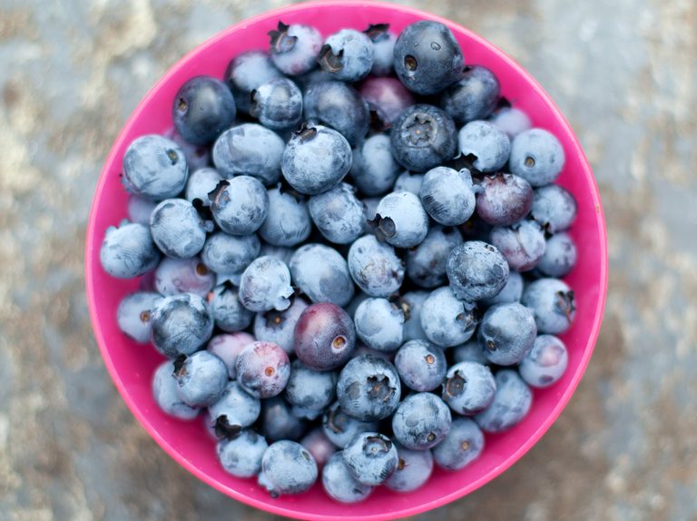 a-pink-bowl-of-freshly-picked-blueberries