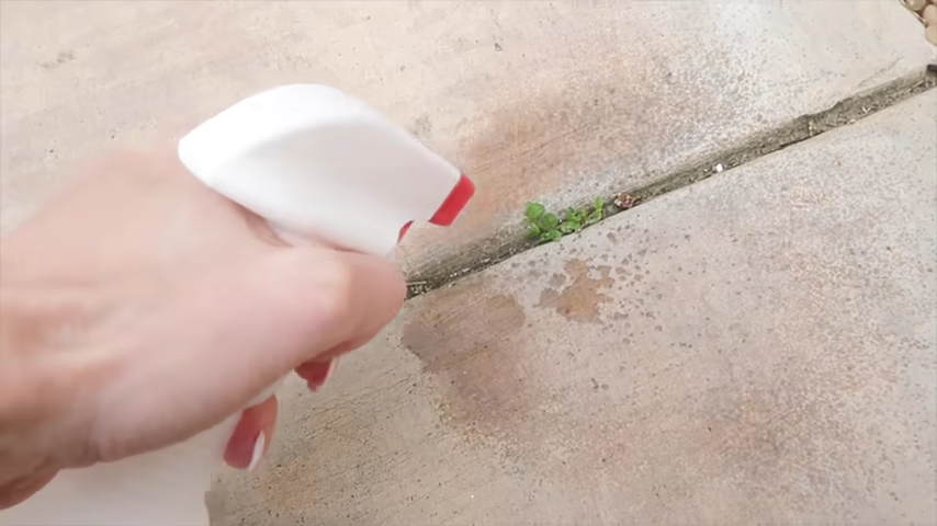 94-20-genius-home-hacks-using-vinegar-that-will-blow-your-mind-00-04-49