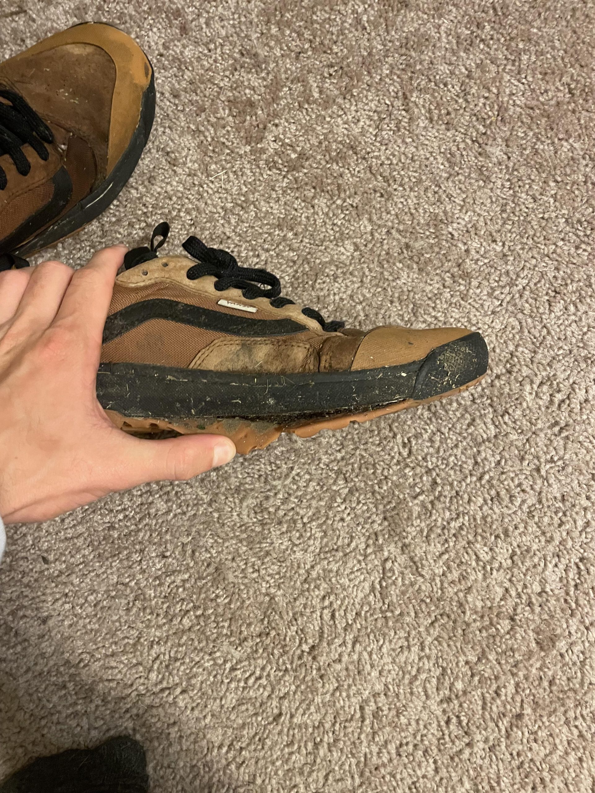 soggy-shoe-scaled