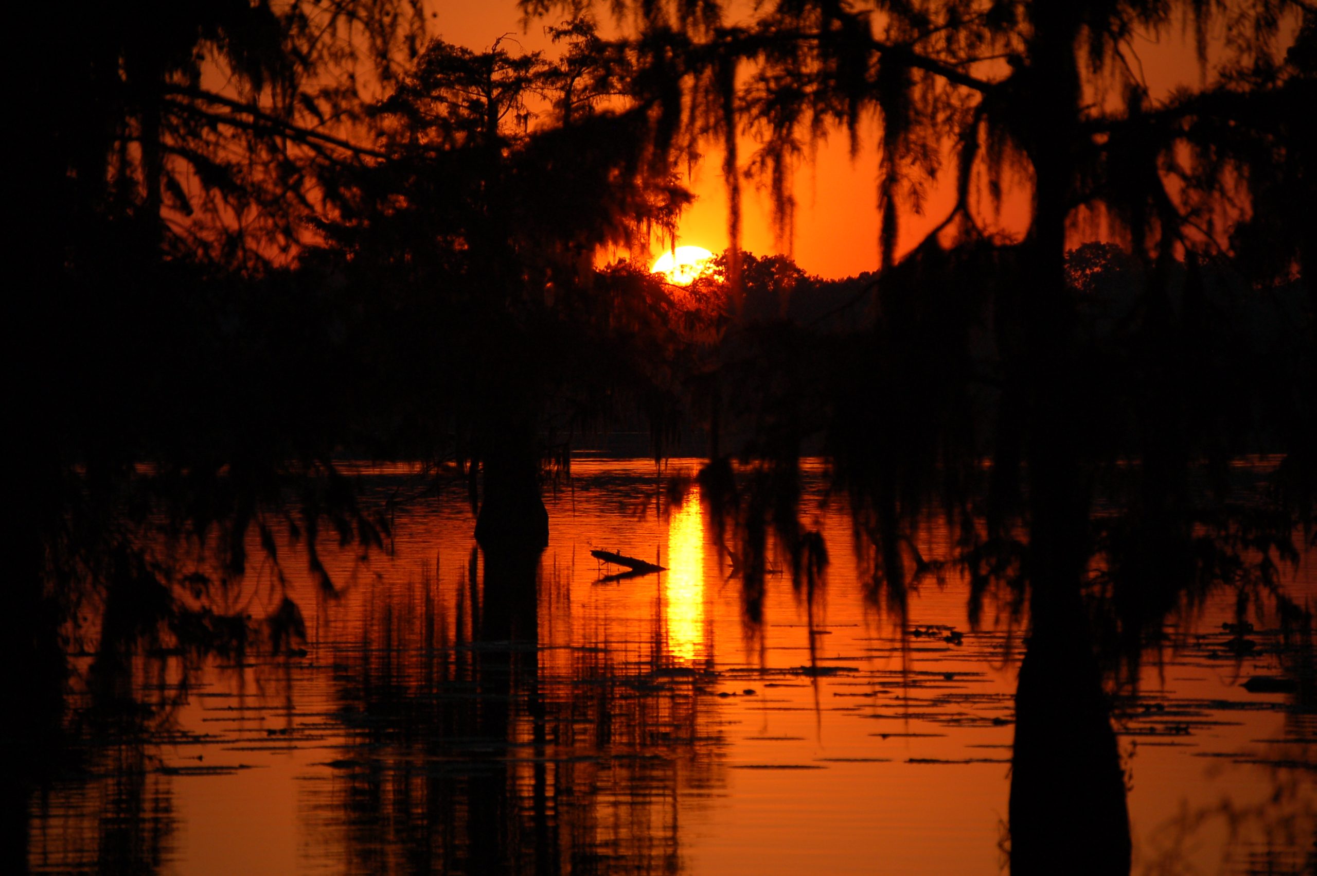 swamp_sunset_in_cajun_country