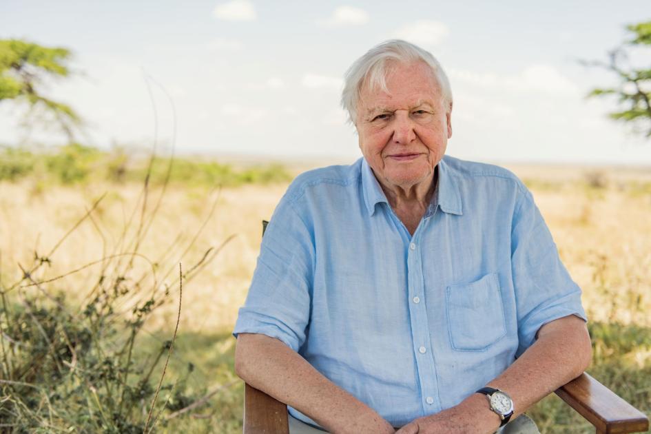 attenborough