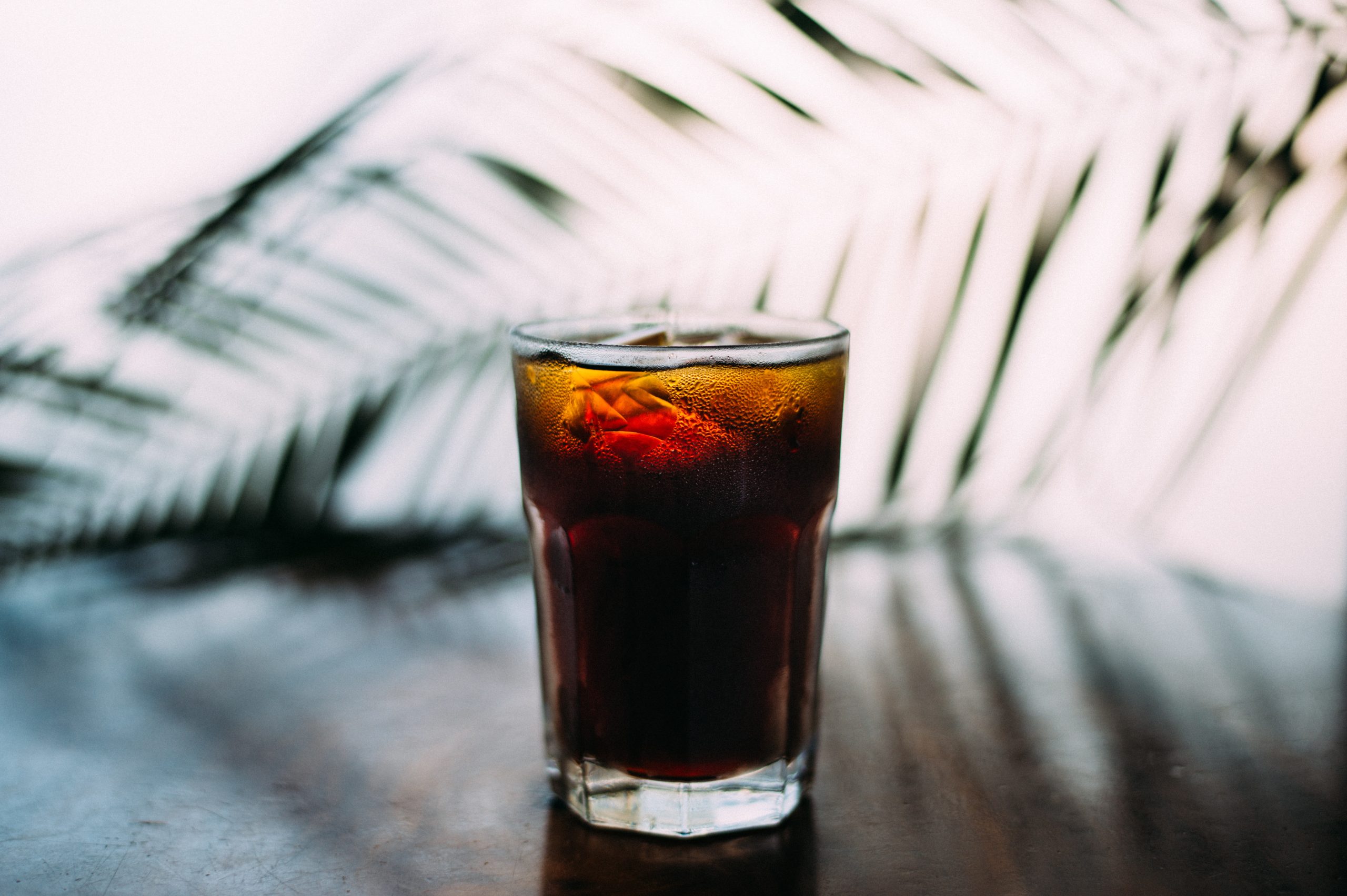 blake-wisz-x6ay_j6jd_y-unsplash