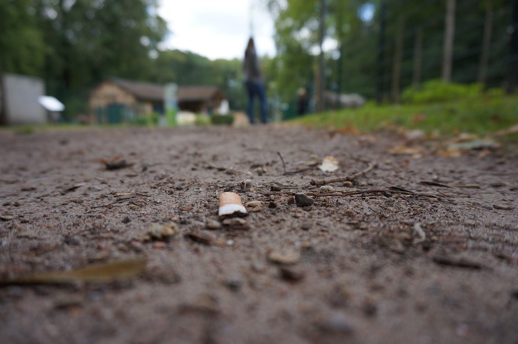 cigarette-waste-nature-nature-landscapes-56f2ef-1024