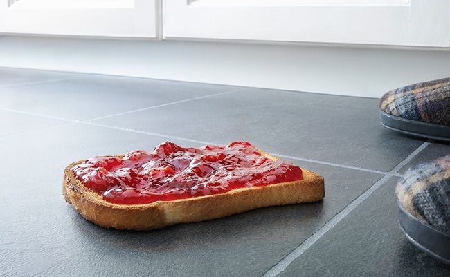 gettyimages-109452072-food-on-floor-stuart-minzey-opener-1470869282