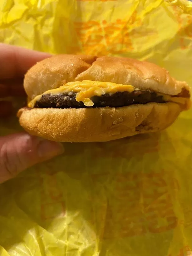hamburger