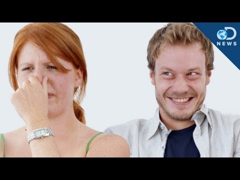 hqdefault-16