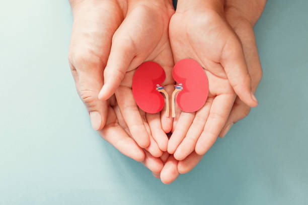 istockphoto-1207169095-612x612