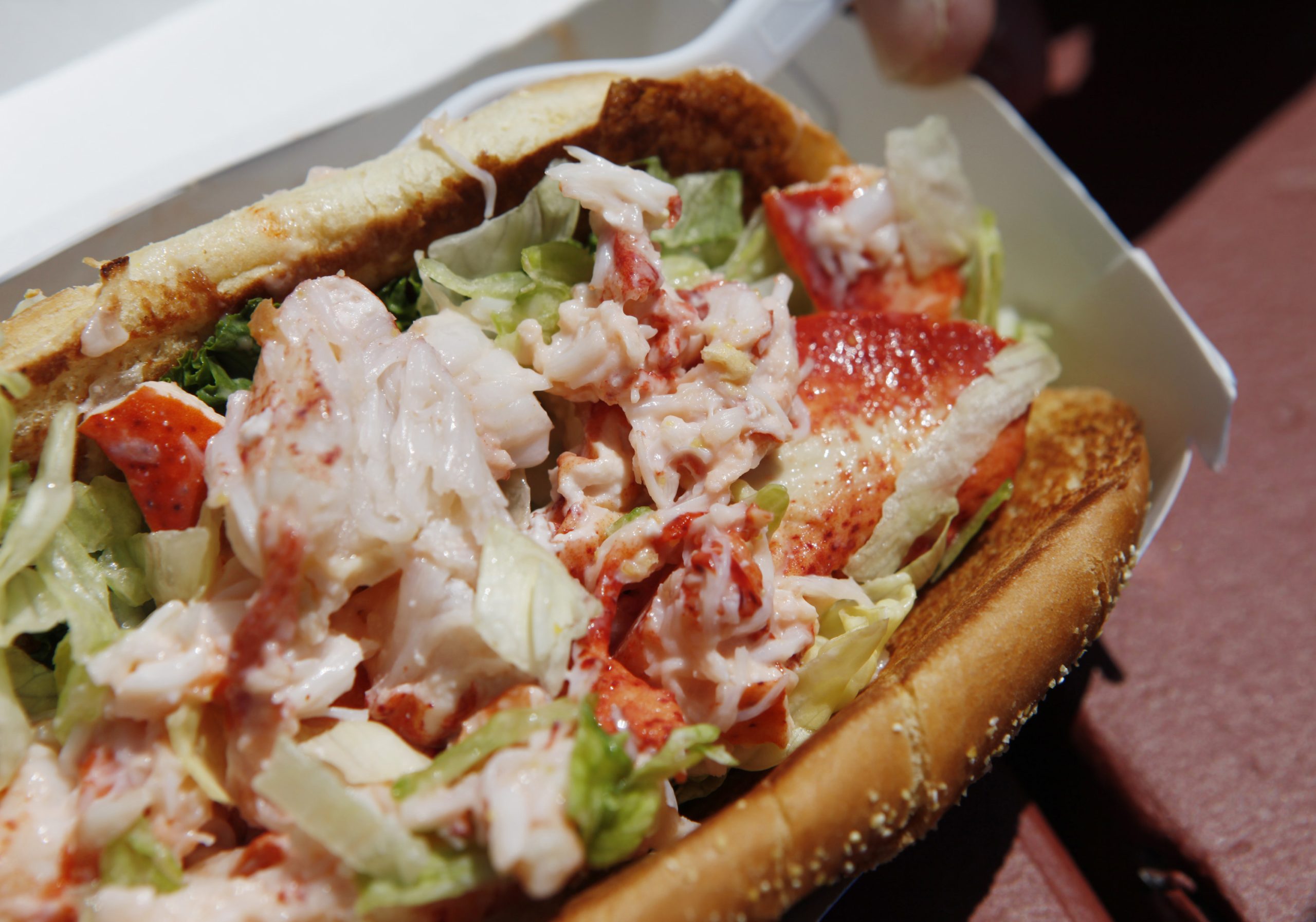 mcdonalds-lobster-roll