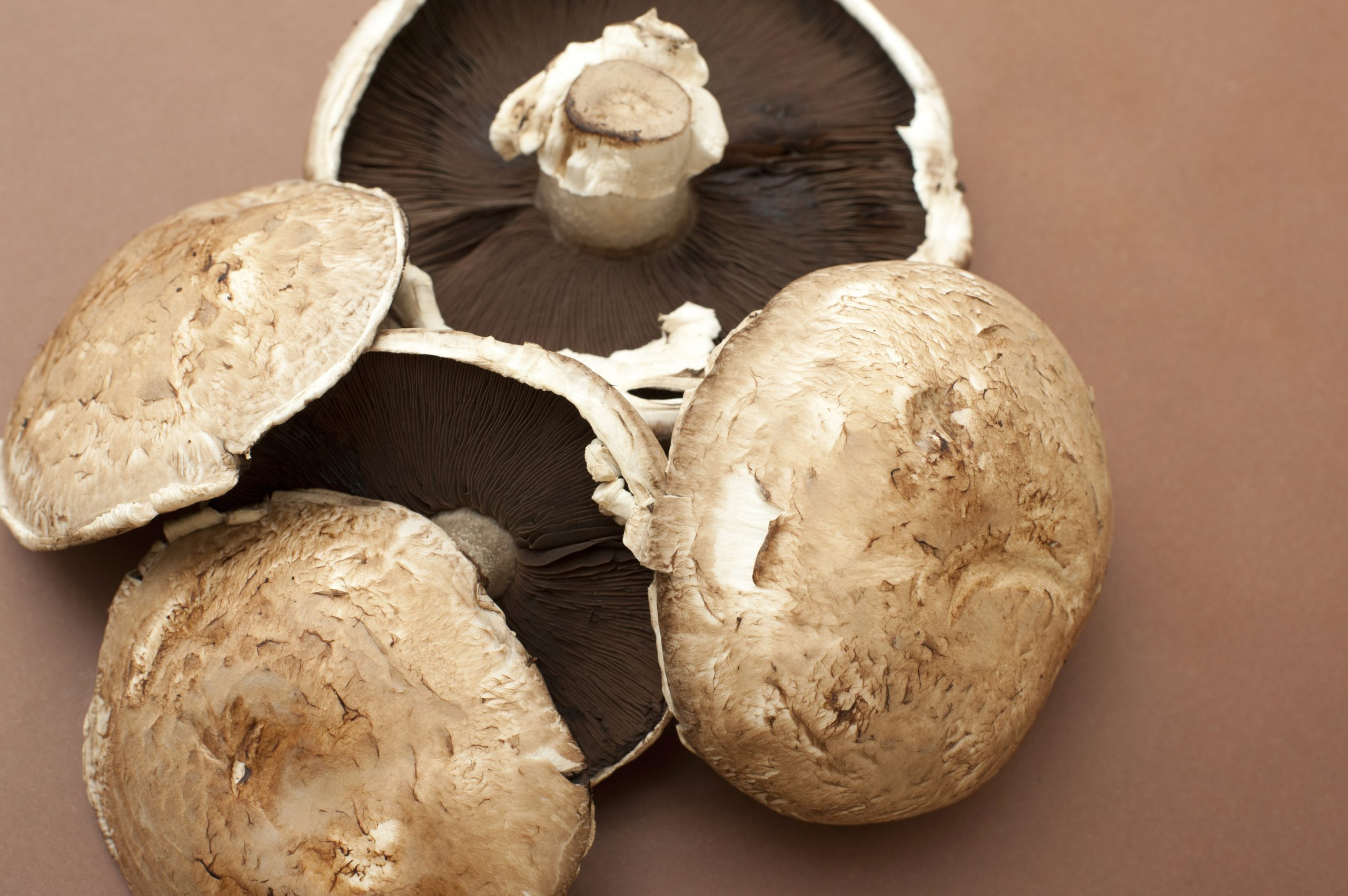 large-fresh-raw-portobello-mushrooms