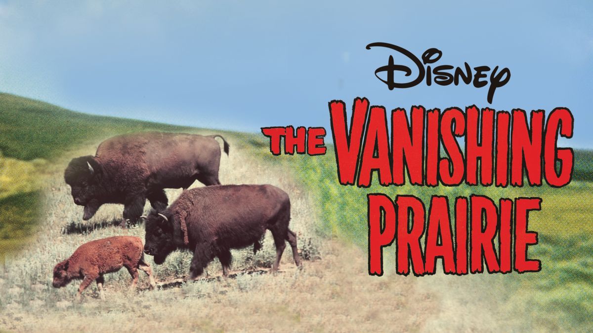 prairie