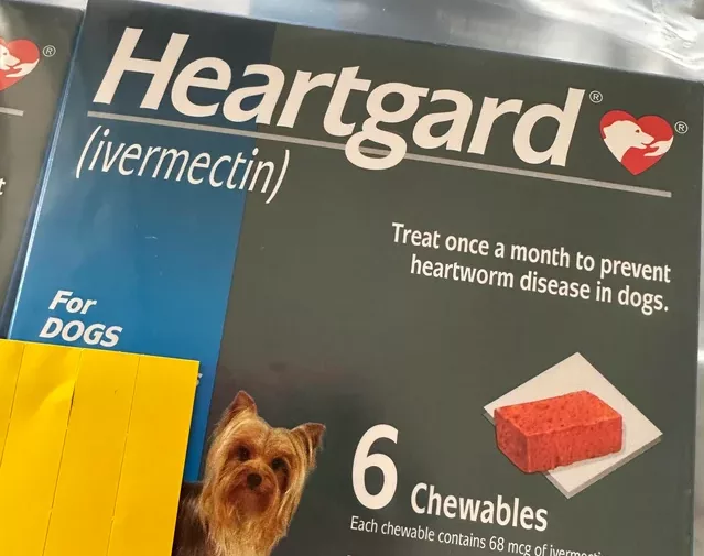 shout-out-to-the-person-who-mentioned-costcos-pharmacy-pet-v0-6qw2krafd1la1