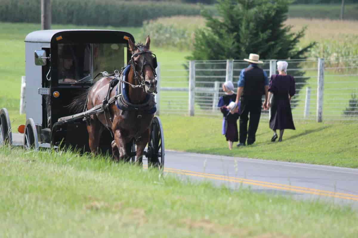standard_compressed_amish_church__2_