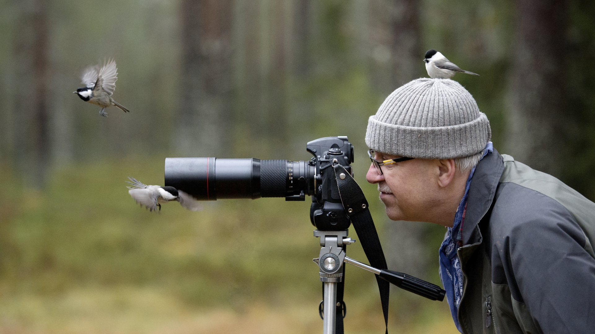 birds-flying-around-photographer